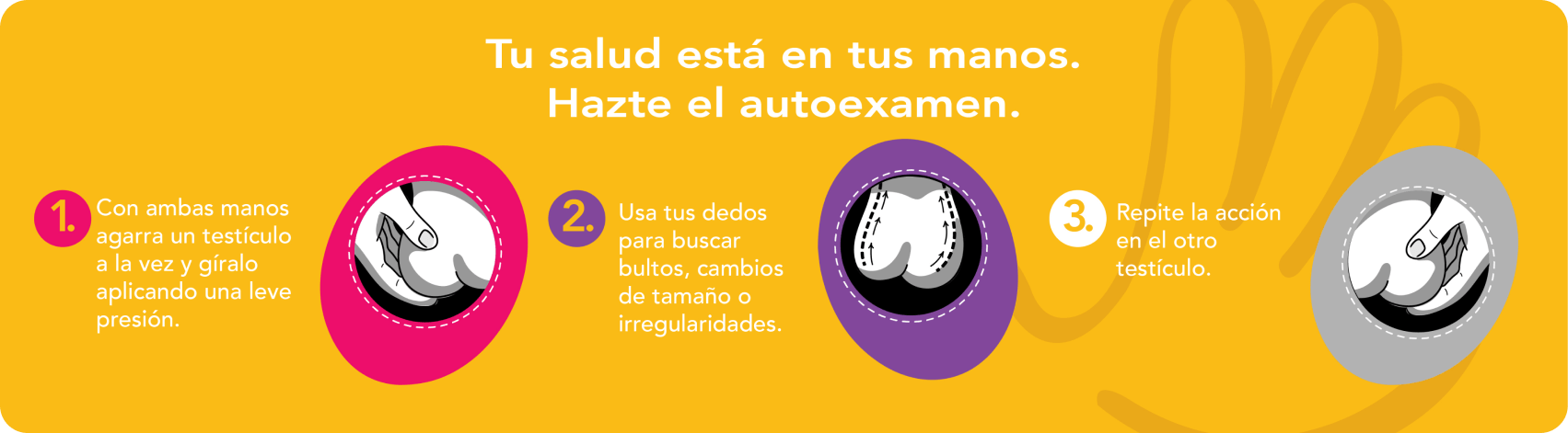 autoexamen Cancer testícular